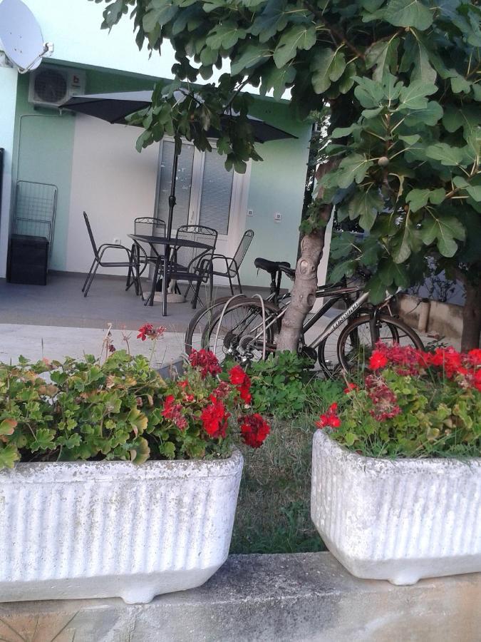 Sea View Apartament